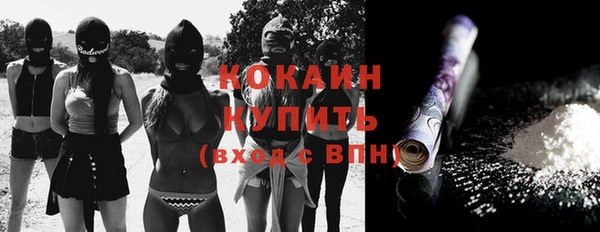 гидра Бронницы
