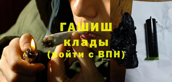 ECSTASY Бородино