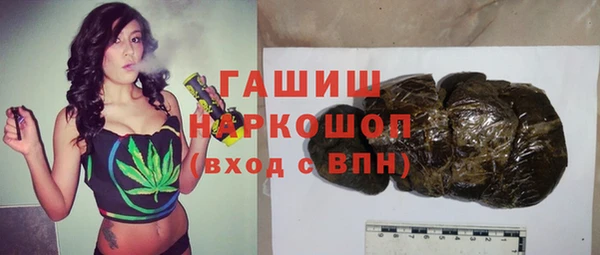 ECSTASY Бородино