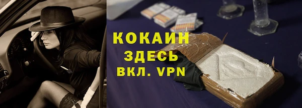 ECSTASY Бородино