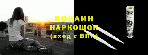 кокс Богородицк