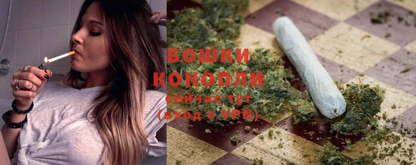 гидра Бронницы