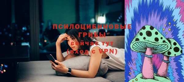 гидра Бронницы